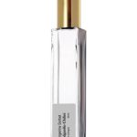 عطر ادکلن تنجرین سوربت ادگاردیو چیلینی - Tangerine Sorbet Edgardio Chilini - بررسی، قیمت و خرید