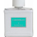 عطر ادکلن کریبیین نونسلئو - Caribbean Nuancielo - بررسی، قیمت و خرید