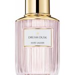 عطر ادکلن دریم داسک اِستی لادر - Dream Dusk Estée Lauder - بررسی، قیمت و خرید