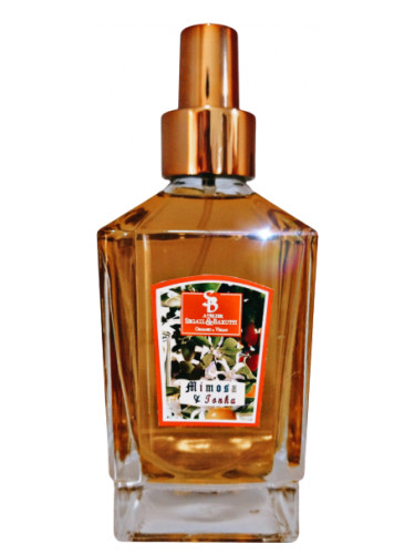 عطر ادکلن میموسا اند تونکا آتلیر سگال و باروتی - Mimosa & Tonka Atelier Segall & Barutti - بررسی، قیمت و خرید