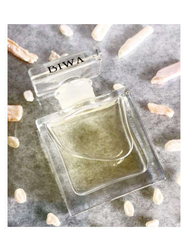 عطر ادکلن بیوا دی‌اِس‌اِیچ پرفیومز - Biwa DSH Perfumes - بررسی، قیمت و خرید