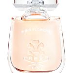 عطر ادکلن ویند فلاورز کرید - Wind Flowers Creed - بررسی، قیمت و خرید