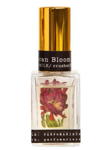 عطر ادکلن سونوران بلوم توکیو میلک پرفیومری کیوریوسیت - Sonoran Bloom Tokyo Milk Parfumerie Curiosite - بررسی، قیمت و خرید