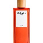 عطر ادکلن سولو اطلس لووه - Solo Atlas Loewe - بررسی، قیمت و خرید