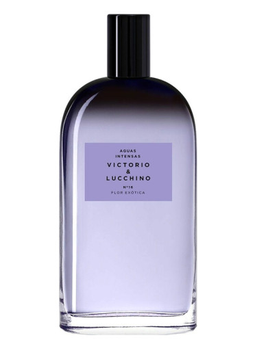 عطر ادکلن نو اما شانزده فلور اگزوتیکا ویکتوریا اند لوچینو - N° 16 Flor Exótica Victorio & Lucchino - بررسی، قیمت و خرید