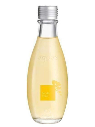 عطر ادکلن فلاور د فرژیا ناتورا - Flor de Frésia Natura - بررسی، قیمت و خرید