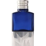 عطر ادکلن وودو چایلد دریکس ون نوتن - Voodoo Chile Dries Van Noten - بررسی، قیمت و خرید