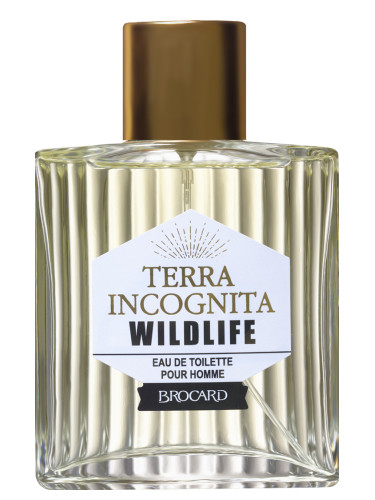 عطر ادکلن ترا اینکوگنیتا وایلد لایف بروکارد - Terra Incognita Wild Life Brocard - بررسی، قیمت و خرید