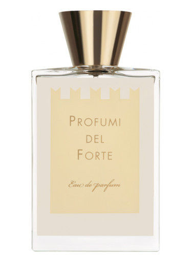 عطر ادکلن آمبرا مدیترانه‌آ پروفیومی دل فورت - Ambra Mediterranea (Versilia Vintage Ambra Mediterranea) Profumi del Forte - بررسی، قیمت و خرید