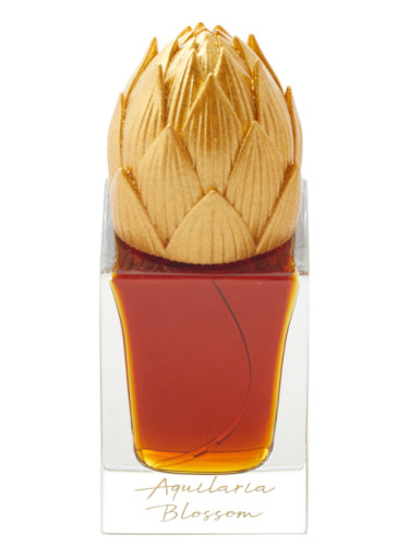 عطر ادکلن آکیلاریا بلاسوم اریج له دوری - Aquilaria Blossom Areej Le Doré - بررسی، قیمت و خرید