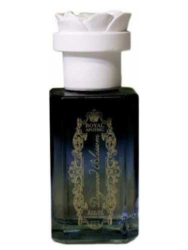 عطر ادکلن داگ وود بلاسِم رویال آپوثیک - Dogwood Blossom Royal Apothic - بررسی، قیمت و خرید