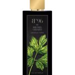 عطر ادکلن جرانیوم پپر بی نود و شش - Geranium Pepper B96 - بررسی، قیمت و خرید