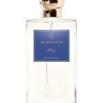 عطر ادکلن گلیزه عربیَن ویند - Glize Arabian Wind - بررسی، قیمت و خرید