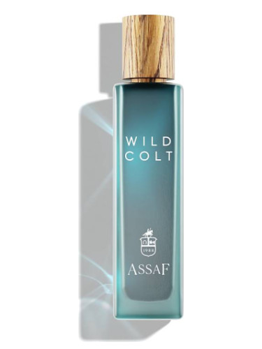 عطر ادکلن وایلد کُلت اساف - Wild Colt Assaf - بررسی، قیمت و خرید