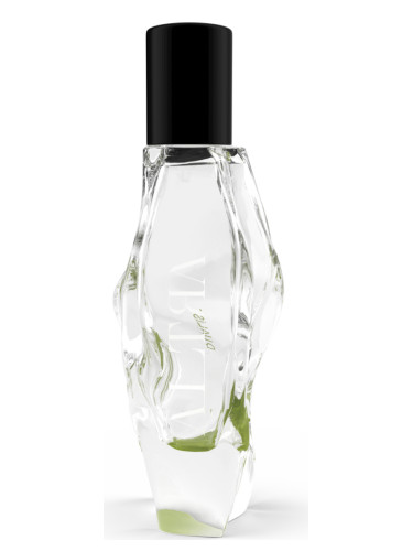 عطر ادکلن دوئیست آلترا - Dualist Altra - بررسی، قیمت و خرید
