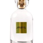 عطر ادکلن امبر ابسولوت ترشیا سنسو - Amber Absolute Tertia Sensu - بررسی، قیمت و خرید