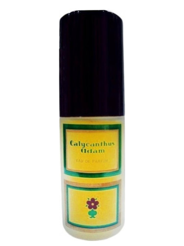 عطر ادکلن کالیکانتوس آدم - Calycanthus Adam - بررسی، قیمت و خرید