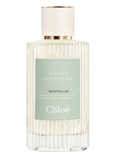 عطر ادکلن سانتالوم کلوئه - Santalum Chloé - بررسی، قیمت و خرید