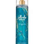 عطر ادکلن سالت واتر بریز بث اند بادی ورکز - Saltwater Breeze Bath & Body Works - بررسی، قیمت و خرید