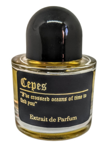 عطر ادکلن تپز مموریز پارفوم - Tepes Memories Parfums - بررسی، قیمت و خرید
