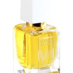 عطر ادکلن پولار نایت آئورورا بوریالیس - Полярная ночь — Polar Night Aurora Borealis - بررسی، قیمت و خرید