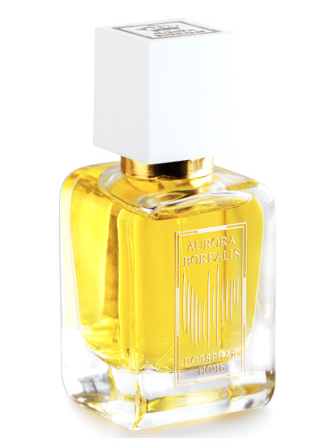 عطر ادکلن پولار نایت آئورورا بوریالیس - Полярная ночь — Polar Night Aurora Borealis - بررسی، قیمت و خرید