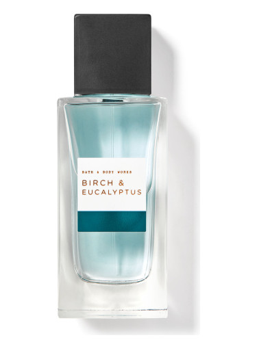 عطر ادکلن بیرچ اند اوکالیپتوس بث اند بادی ورکز - Birch & Eucalyptus Bath & Body Works - بررسی، قیمت و خرید