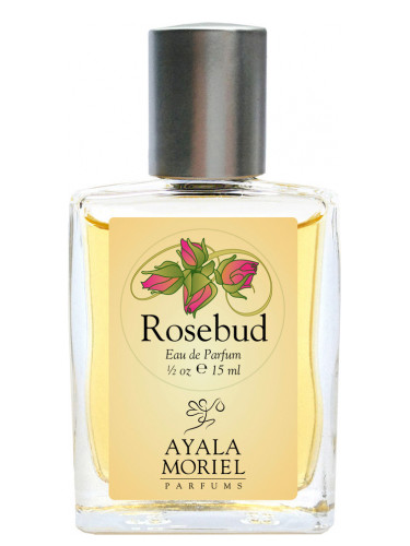 عطر ادکلن روزباد ایاله موریل - Rosebud Ayala Moriel - بررسی، قیمت و خرید