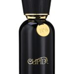 عطر ادکلن کیوپید نامبر سیکس پرفیوم کیوپید پرفیومز - Cupid No.6 Parfum Cupid Perfumes - بررسی، قیمت و خرید