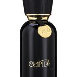 عطر ادکلن کیوپید ویوو پرفیوم کیوپید پرفیومز - Cupid Vivo Parfum Cupid Perfumes - بررسی، قیمت و خرید
