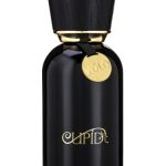 عطر ادکلن کیوپید ولو پرفیوم کیوپید پرفیومز - Cupid Volo Parfum Cupid Perfumes - بررسی، قیمت و خرید