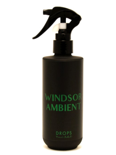 عطر ادکلن ویندزور امبینت تونی کابال - WINDSOR AMBIENT Toni Cabal - بررسی، قیمت و خرید
