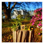 عطر ادکلن فارماوس این اسپرینگ سولستیس سنتس - Farmhouse In Spring Solstice Scents - بررسی، قیمت و خرید