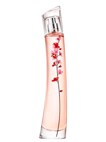 عطر ادکلن فلاور ایکبانا ساکورا کنزو - Flower Ikebana Sakura Kenzo - بررسی، قیمت و خرید