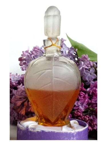 عطر ادکلن ریگا سِرینی دزینتارس - Rīgas cēriņi (Рижская сирень) Dzintars - بررسی، قیمت و خرید