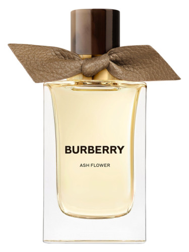 عطر ادکلن اَش فِلَور بربری - Ash Flower Burberry - بررسی، قیمت و خرید