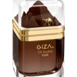 عطر ادکلن جی زی آف عربیا عود لوشامو - Giza Of Arabia Oud Le Chameau - بررسی، قیمت و خرید