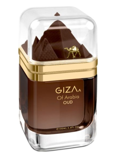 عطر ادکلن جی زی آف عربیا عود لوشامو - Giza Of Arabia Oud Le Chameau - بررسی، قیمت و خرید