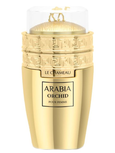 عطر ادکلن ارابیا ارکید لشامو - Arabia Orchid Le Chameau - بررسی، قیمت و خرید