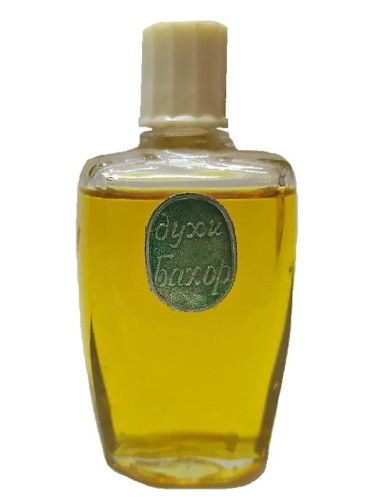 عطر ادکلن بهار تاشکند پرفیوم فکتوری لولا - Бахор Tashkent Perfume factory LOLA - بررسی، قیمت و خرید
