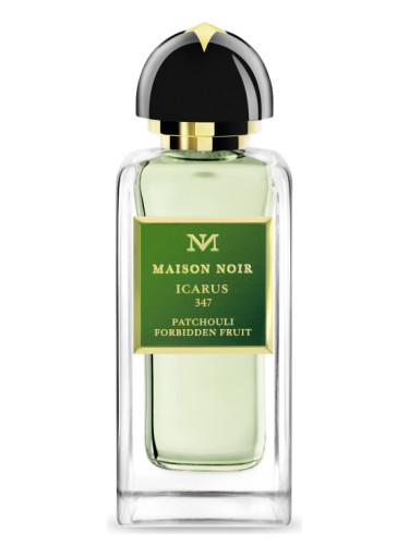 عطر ادکلن آیکارس ۳۴۷ میزون نوآر - Icarus 347 Maison Noir - بررسی، قیمت و خرید