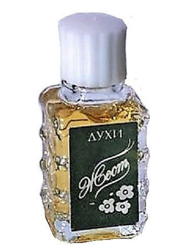عطر ادکلن ژست آلن ماک - Жест - Gesture Alen Mak - بررسی، قیمت و خرید