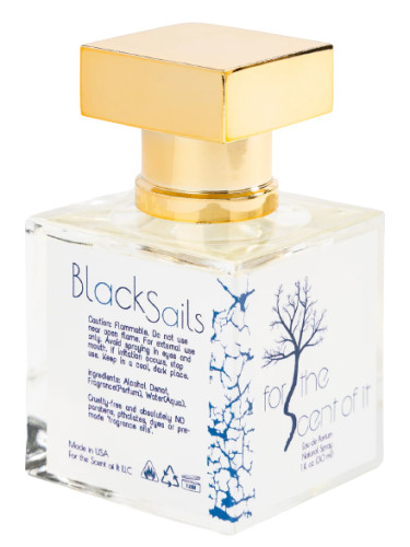 عطر ادکلن بلک سیلز فور د سنت آو ایت - Black Sails For the Scent of It - بررسی، قیمت و خرید