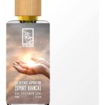 عطر ادکلن هیس اینتنس اسپیریشن (اسپورت بیانکا) د دوآ برند - His Intense Aspiration (Sport Bianca) The Dua Brand - بررسی، قیمت و خرید