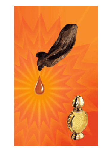 عطر ادکلن شذا العود راساسی - Shatha Al Oudh Rasasi - بررسی، قیمت و خرید