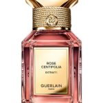 عطر ادکلن رز سنتیفولیا اکستره یک گرلن - Rose Centifolia Extrait 1 Guerlain - بررسی، قیمت و خرید