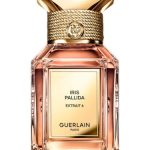 عطر ادکلن آیریس پالیدا اکستریت سیکس گرلن - Iris Pallida Extrait 6 Guerlain - بررسی، قیمت و خرید