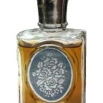 عطر ادکلن نایدینه نوایا زاریا - Наедине Новая Заря (The New Dawn) - بررسی، قیمت و خرید
