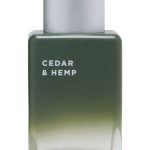 عطر ادکلن سیدار اند همپ آروپستال - Cedar & Hemp Aéropostale - بررسی، قیمت و خرید