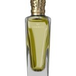 عطر ادکلن مای ایمورتال آمادو - My Immortal Amado - بررسی، قیمت و خرید
